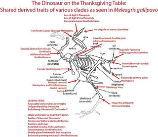 Illustration for article titled The best turkey-related graphic you'll see all day: